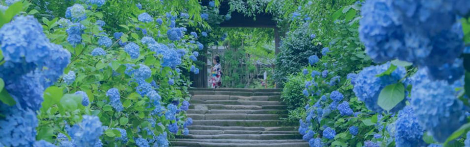 寒川エリアの物件