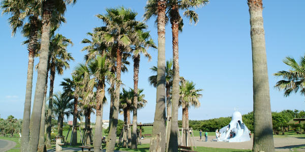 辻堂海浜公園